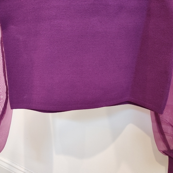 House of Harlow 1960 Sheer Puff Sleeves Knit Top - Picture 9 of 12